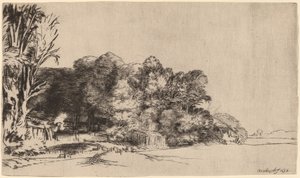 Boomgroep met Uitzicht door Rembrandt van Rijn