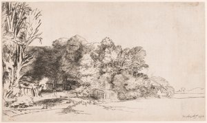 Boomgroep met een doorkijk door Rembrandt van Rijn