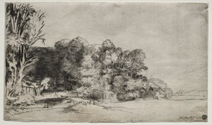 Boomgroep met uitzicht door Rembrandt van Rijn