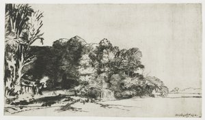 Boomgroep met uitzicht door Rembrandt van Rijn