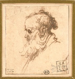 Hoofd van een bebaarde man in profiel naar links door Rembrandt van Rijn