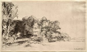 Landschap met een groep bomen door Rembrandt van Rijn