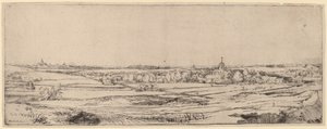 Landschap met uitzicht op Haarlem (Het veld van de goudweger)
