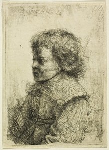Portret van een jongen door Rembrandt van Rijn