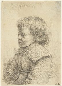 Portret van een jongen door Rembrandt van Rijn