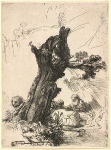 Sint Hiëronymus naast een knotwilg door Rembrandt van Rijn