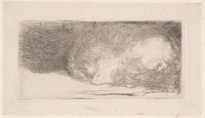 Slapende puppy door Rembrandt van Rijn