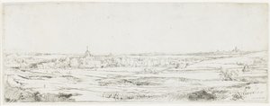 Het veld van de goudweger, 1651