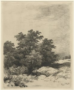 Landschap met bomen