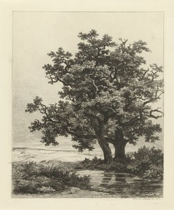 Twee eiken aan een meertje door Remigius Adrianus Haanen