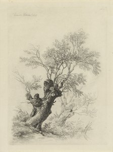 Wilgenboom door Remigius Adrianus Haanen