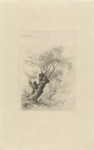 Wilgenboom door Remigius Adrianus Haanen