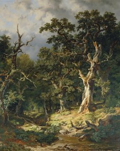 Eikenbos