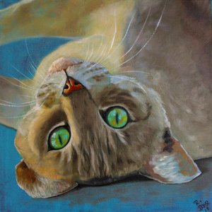 Katten geluk door Renate Dohr