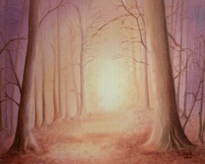 Weg naar het licht