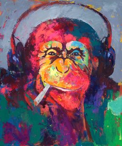 Kleurrijke Monkey-hoofdtelefoon