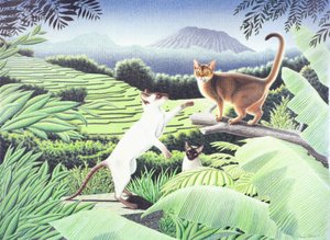 Bali