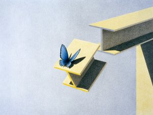 Vlinder door Rene Boin
