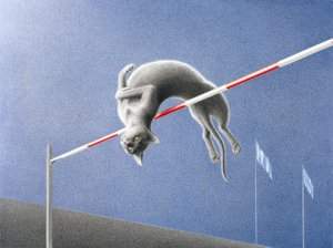 Springen door Rene Boin