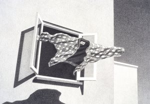 Uit de lucht springen door Rene Boin
