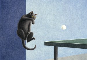 Pingpong door Rene Boin