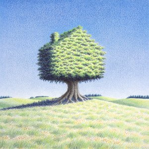 Boomhut door Rene Boin