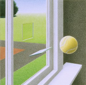 Venster door Rene Boin