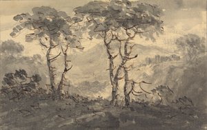 Dennenbomen in een Berglandschap