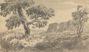 Landschap met Twee Bomen en Klif