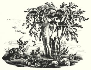 Hans Christian Andersen: De Kleine Zeemeermin