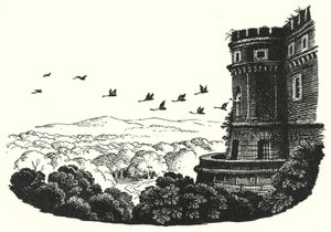 Hans Christian Andersen: De Wilde Zwanen