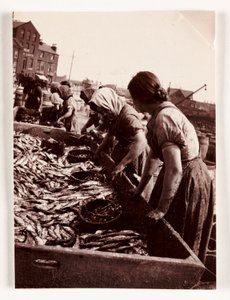 Vissen, vissersvrouwen sorteren vis, Whitby Harbour, North Yorkshire, ca. 1905 door John Pardon