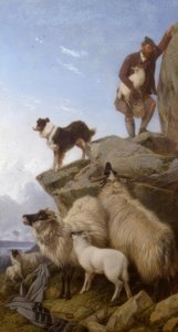 R. Ansdell, Het verdwaalde schaap, schilderij, 1868