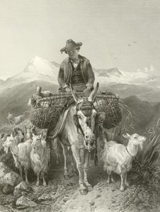 De Geitenhoeder van Granada door Richard Ansdell