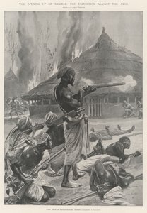De Opening van Nigeria, de Expeditie tegen de Aros