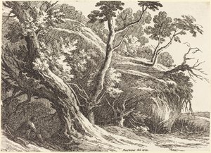 Landschap met grote bomen