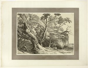 Landschap met grote bomen, uit de eerste uitgave van Specimens of Polyautography door Richard Cooper II