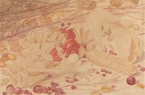 Stilleven met Kruisbessen, Frambozen, Rode Bessen, Lente-uitjes, een Augurk en Bladeren door Richard Dadd