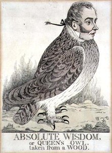 Absolute Wijsheid of Koninginnen Uil Uit een Bos