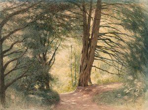  door Richard Doyle