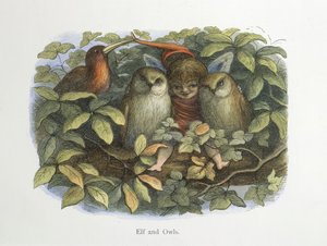 Elf en uilen door Richard Doyle