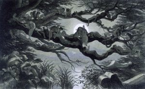 Fees, nimfen en elfen rustend in het maanlicht op een tak? Illustratie van "In Fairy land. A series of pictures from the elf-world" door Richard Doyle 1869-1870 The British Library Institution Reference: Shelfmark ID: 1876 e18 