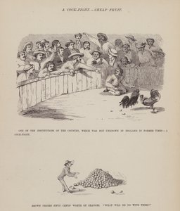 Pagina uit De Amerikaanse Tour van de heren Brown, Jones en Robinson