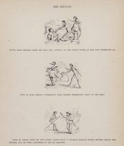 Pagina uit De Amerikaanse tour van de heren Brown, Jones en Robinson (gravure)