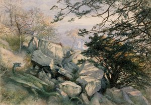  door Richard Doyle
