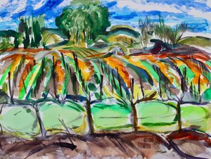 Herfst Wijngaarden, Napa, 2017 door Richard Fox