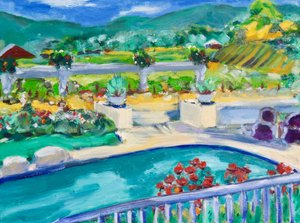 Achtertuin, Napa, 2019