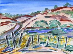 Droge Heuvels, Noord-Californië door Richard Fox