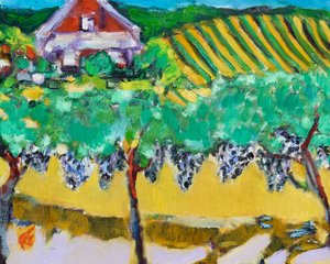 Merlot Druiven, Napa door Richard Fox
