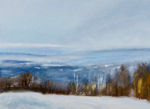 Rustig winterlandschap door Richard Gombar